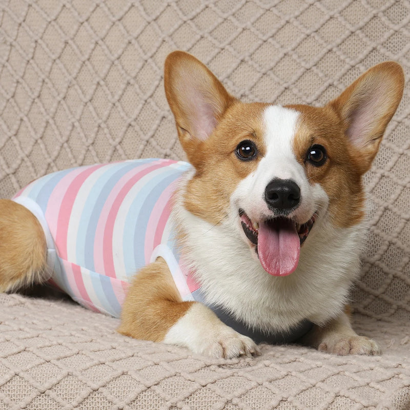 Roupas para animais de estimação macacão para cães pijamas alta elástica tiras camufladas colete envoltório barriga roupa cirúrgica agasalho para menina menino roupas