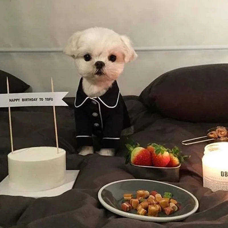 Animal de estimação buldogue francês pijamas moda animais de estimação cães roupas chihuahua filhote de cachorro roupa pequeno médio cães traje roupas para animais de estimação ropa perro