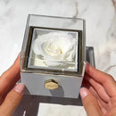 Caixa de Jóias Valentine Eternal Rose Anel Giratório Pingente para Mulheres Namorada
